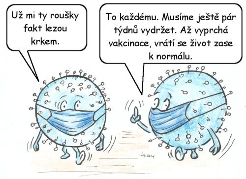 kor3CT