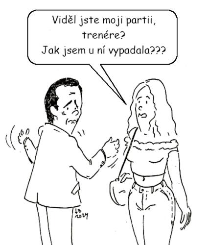 vzhledT